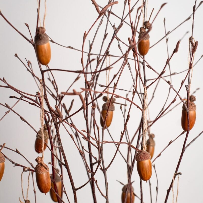 Natural acorn ornaments
