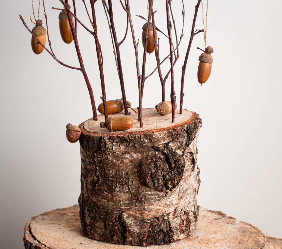 Acorn tree - Image 5