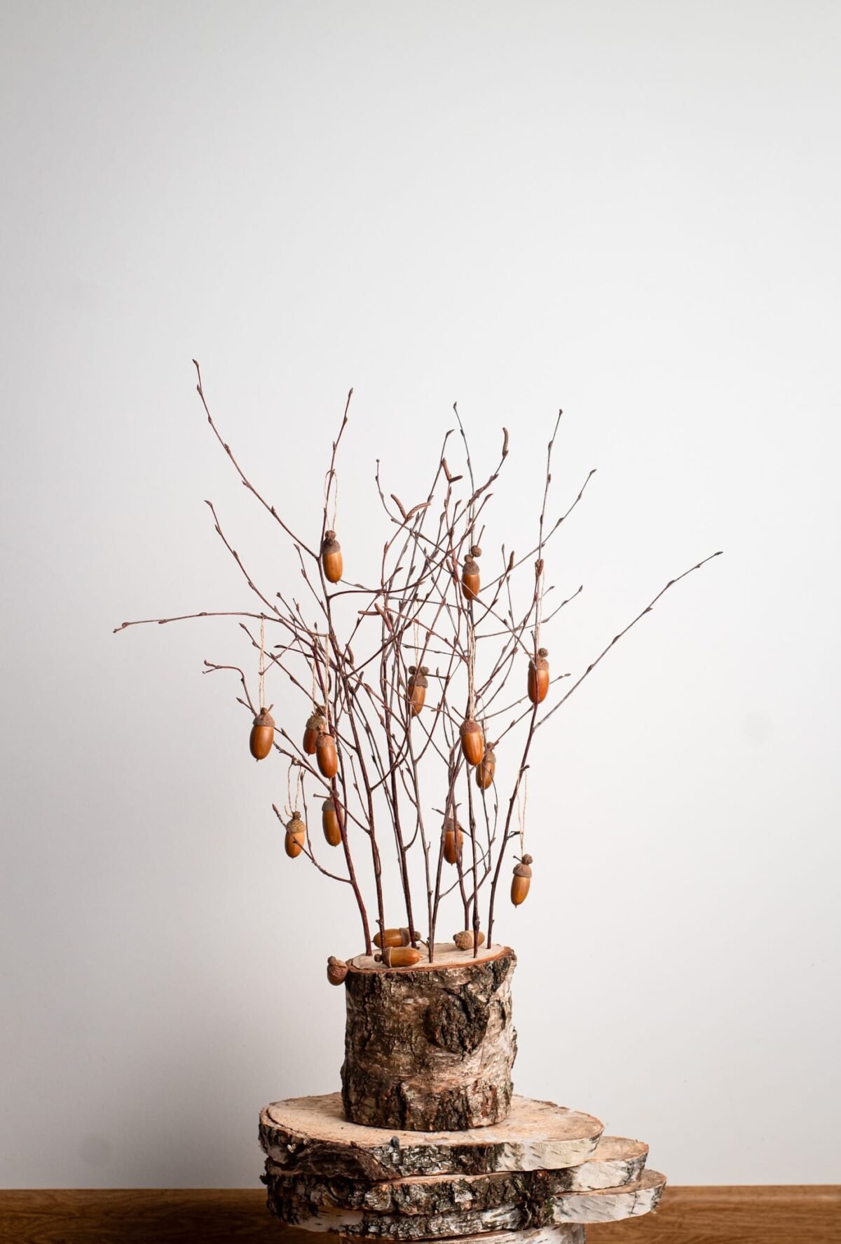 Acorn tree - Image 4