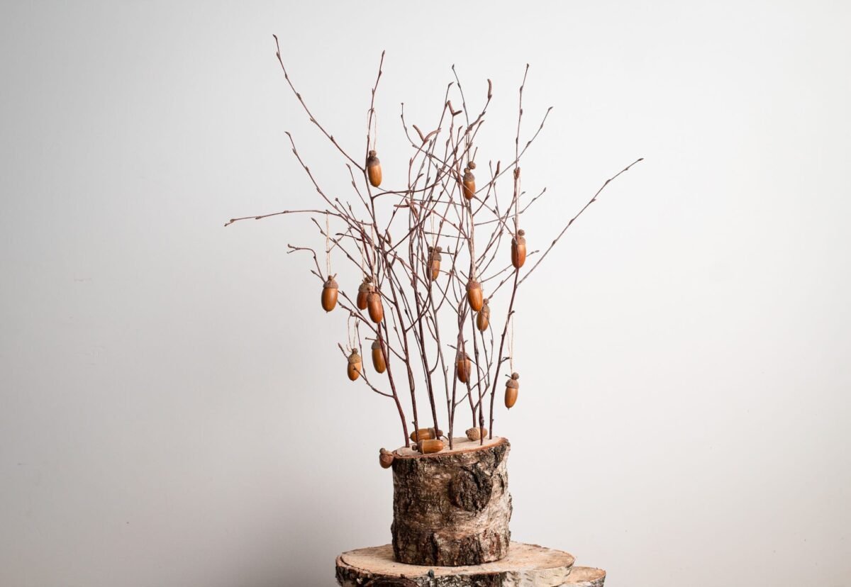 Acorn tree - Image 3