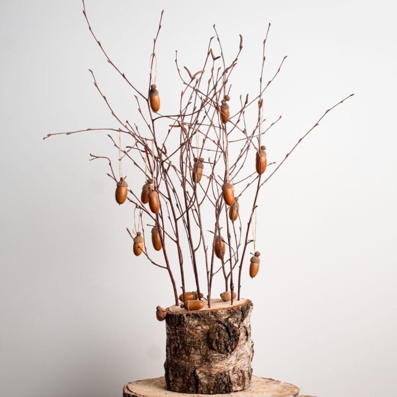 Acorn tree