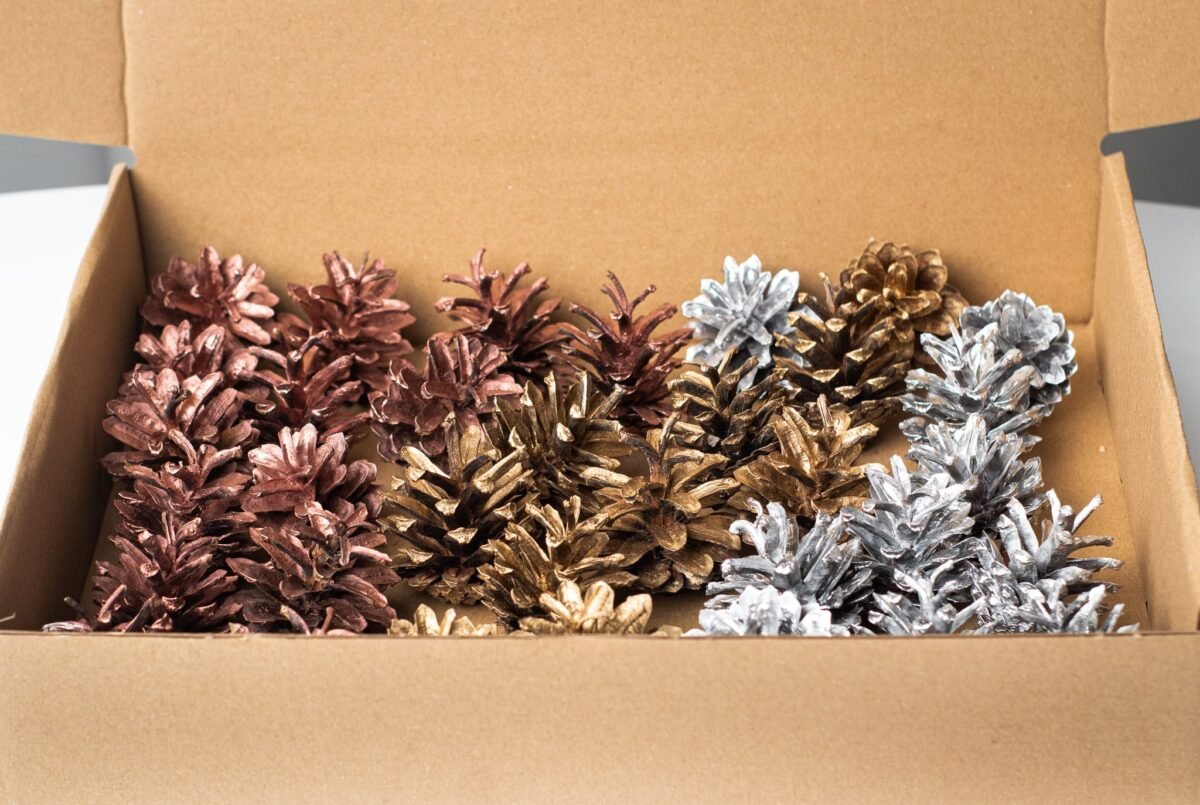 Box of multicolour pinecones - Image 3