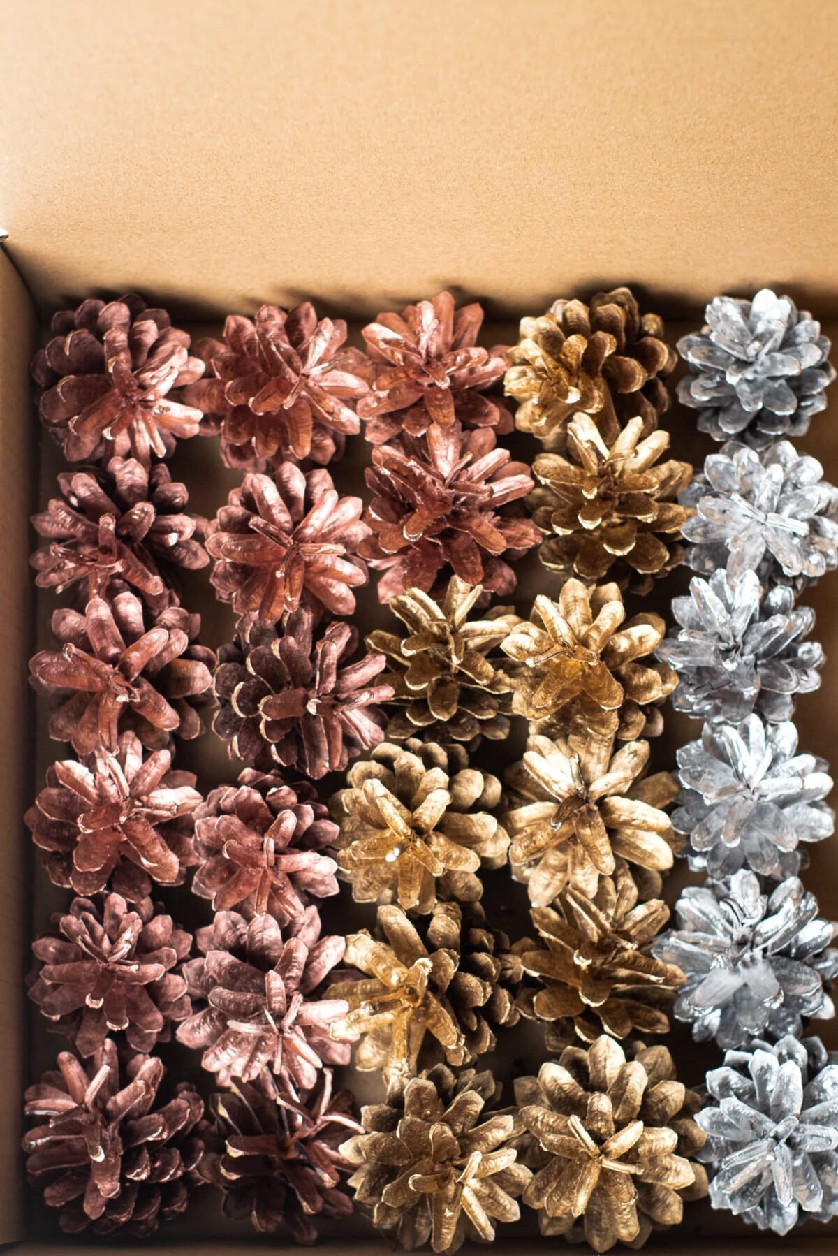 Box of multicolour pinecones - Image 5
