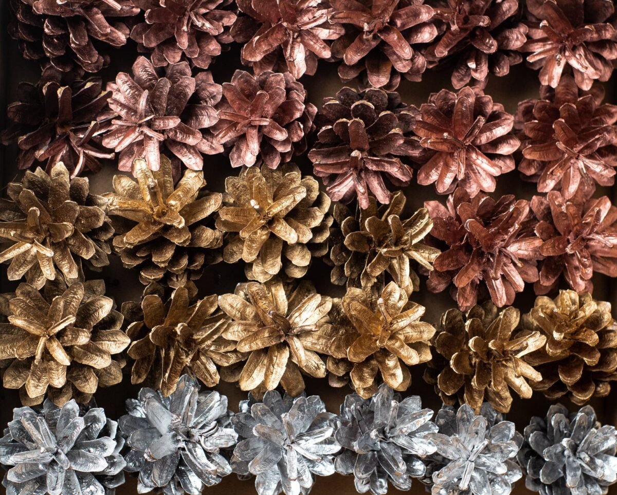Box of multicolour pinecones