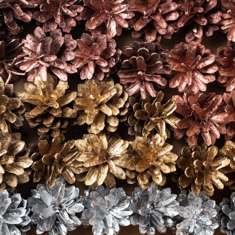 Box of multicolour pinecones