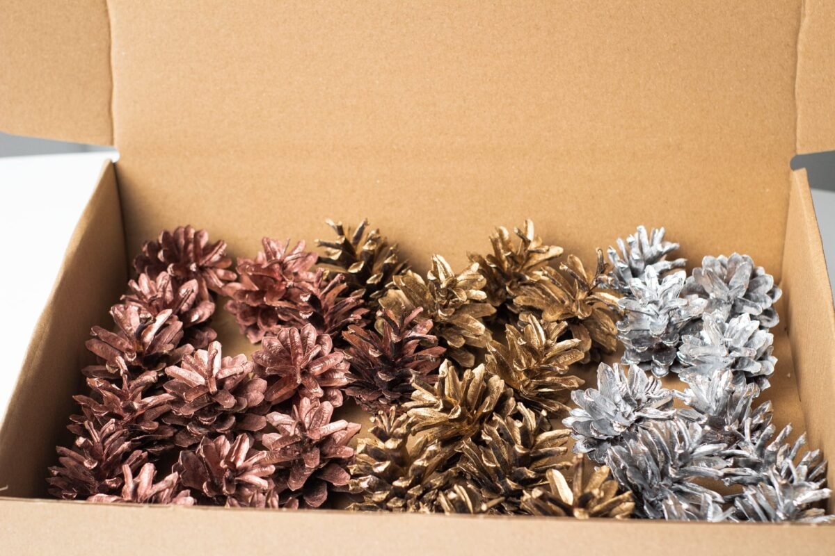 Box of multicolour pinecones - Image 4