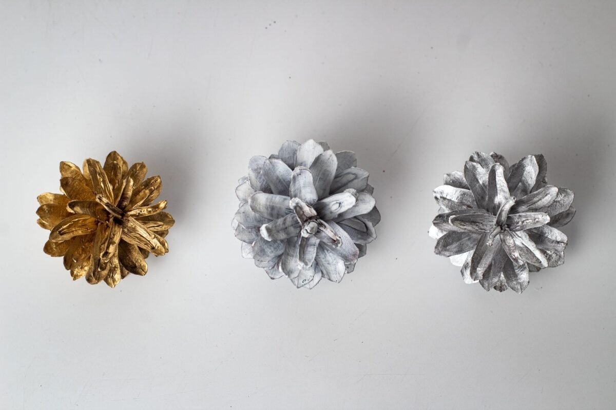 Multicolour pinecones - Image 6