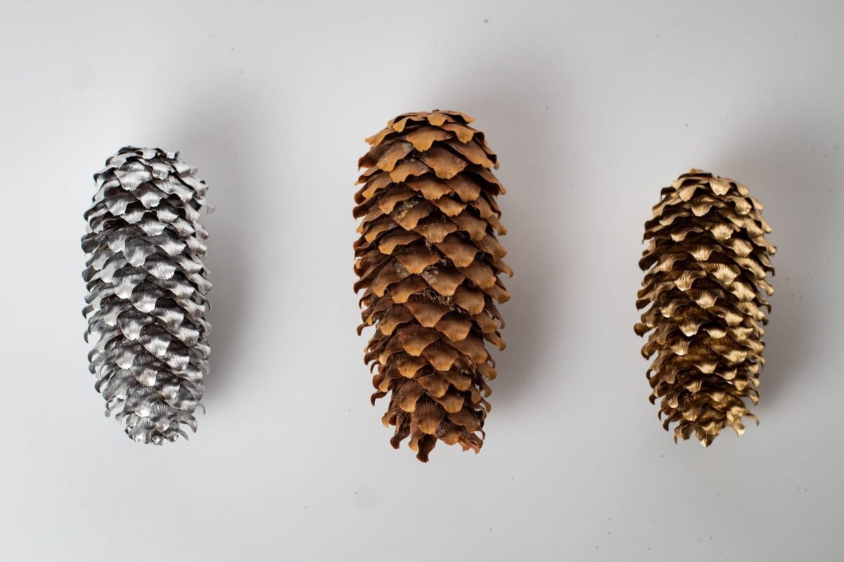 Multicolour pinecones - Image 4