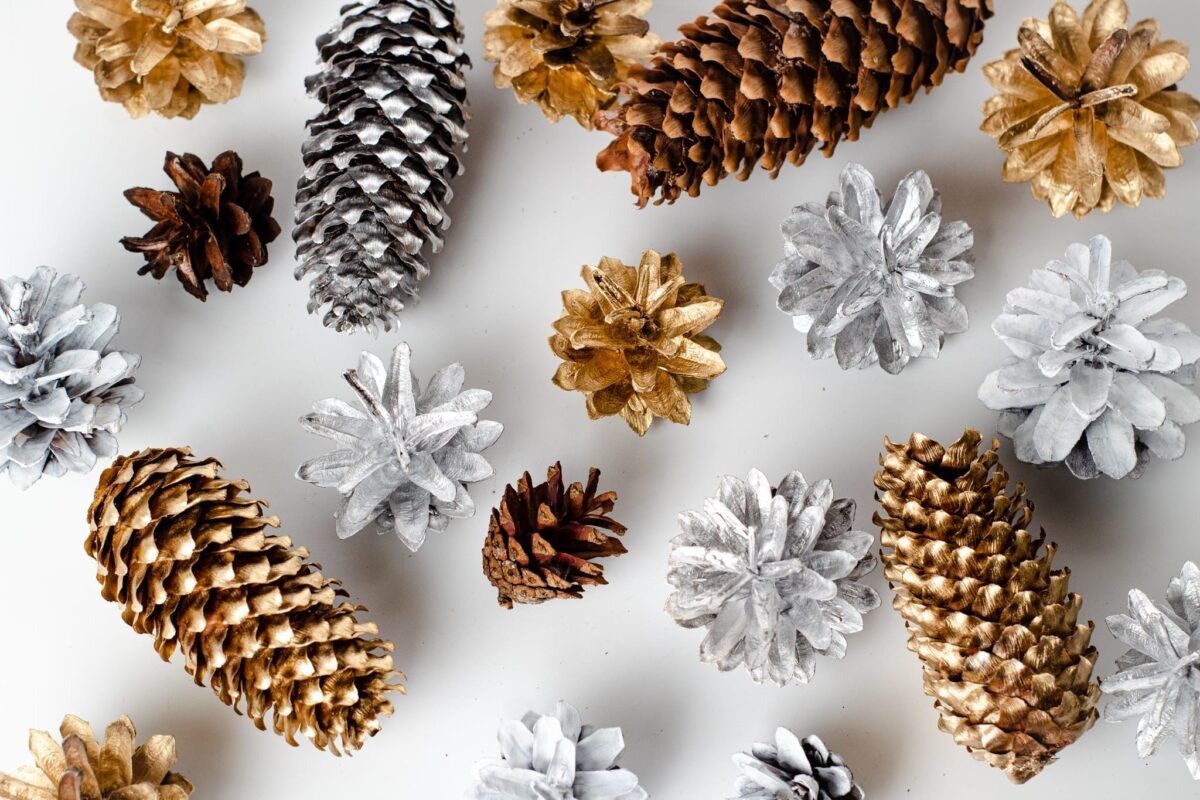 Multicolour pinecones