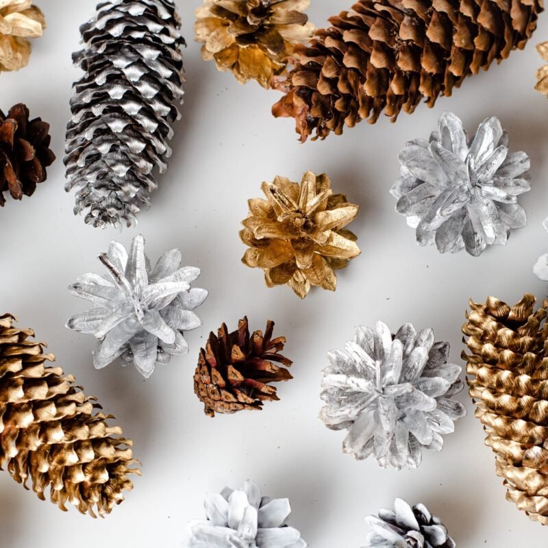 Multicolour pinecones