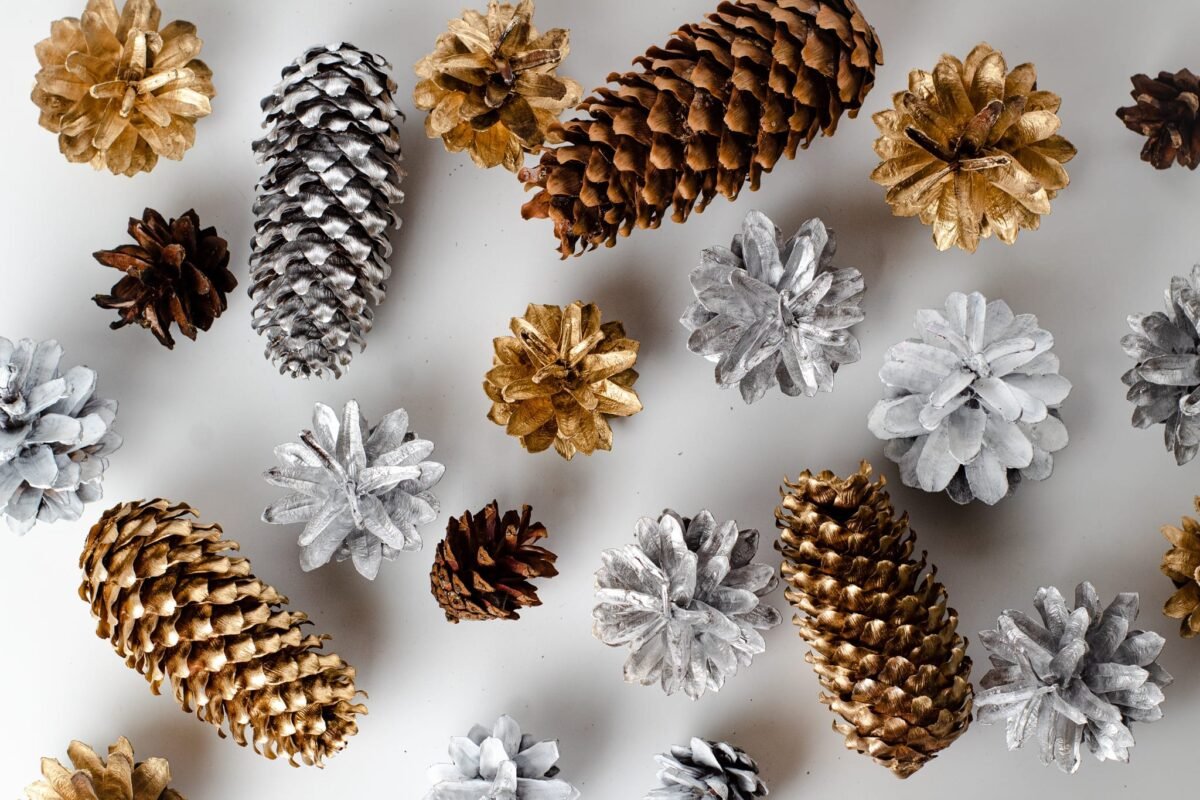 Multicolour pinecones - Image 3