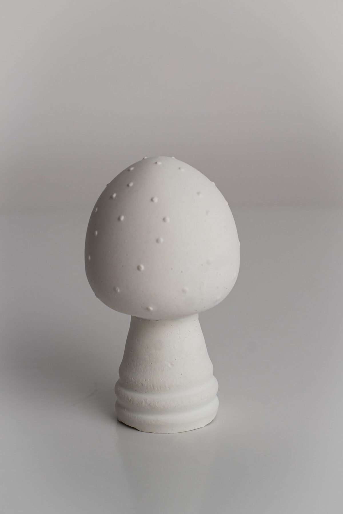 White mushrooms - Image 2