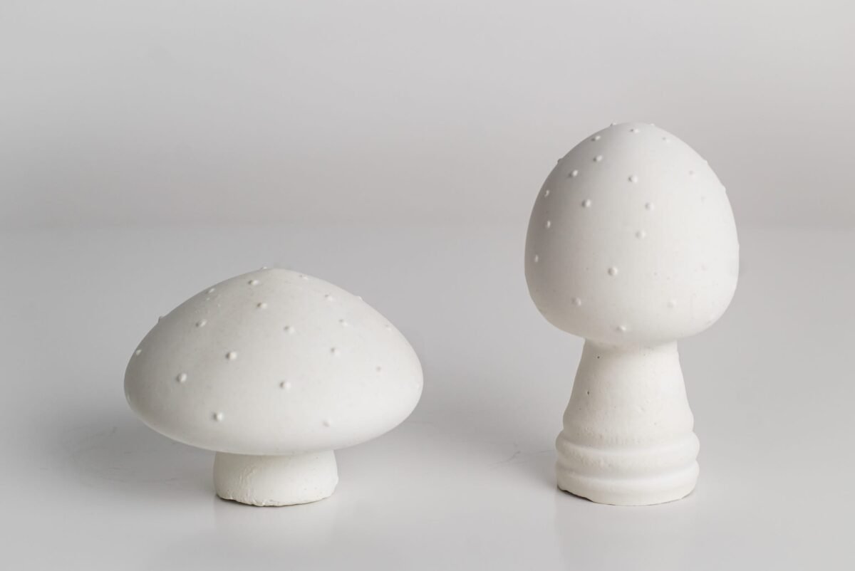 White mushrooms - Image 3