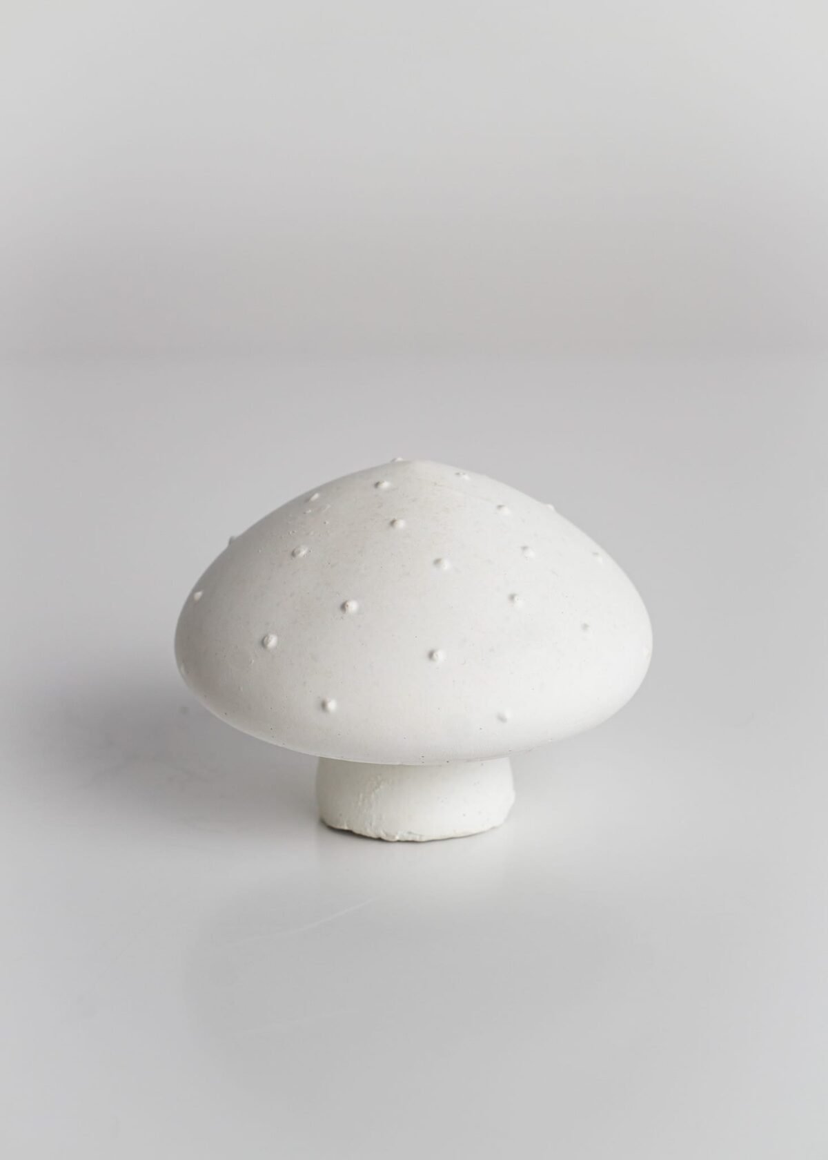 White mushrooms - Image 4