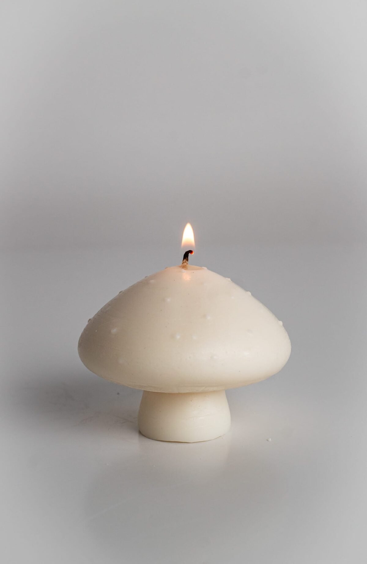White mushrooms - Image 6
