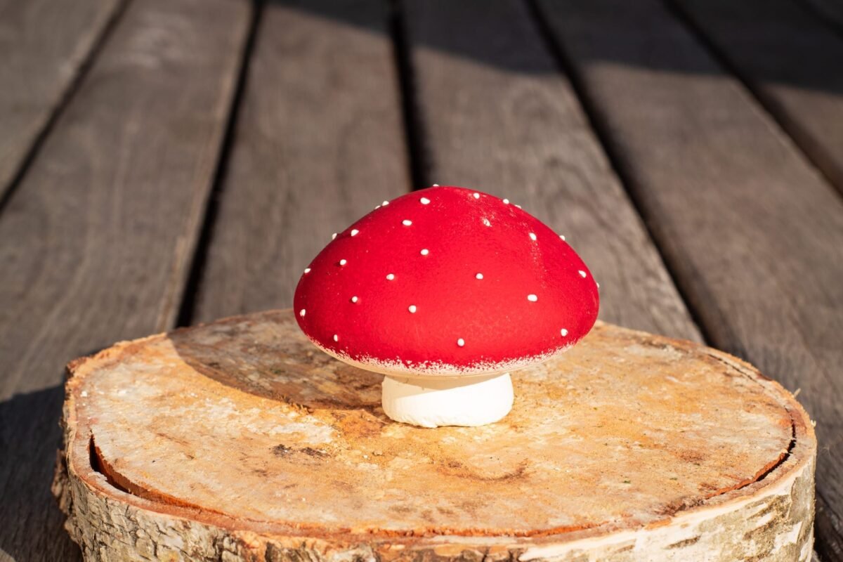 Fly agaric mushrooms - Image 8