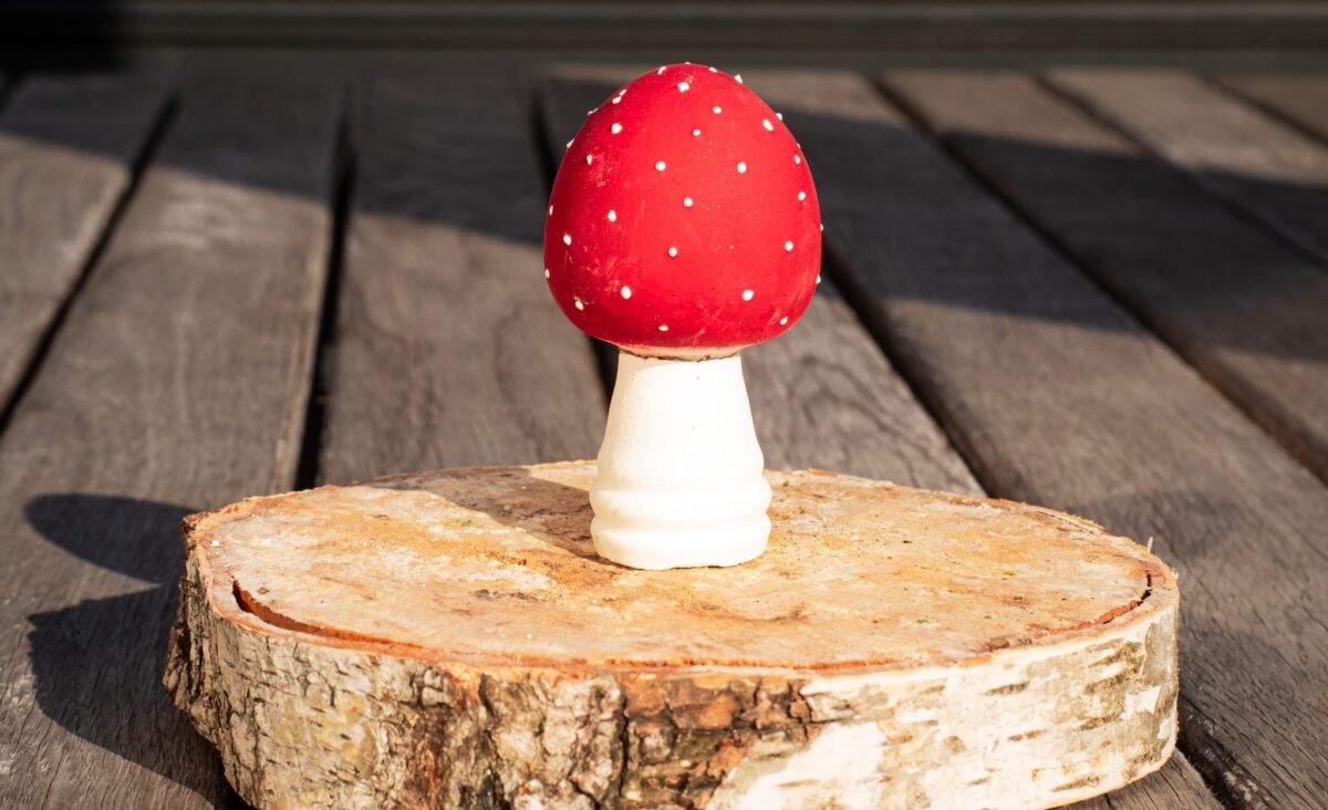 Fly agaric mushrooms - Image 7
