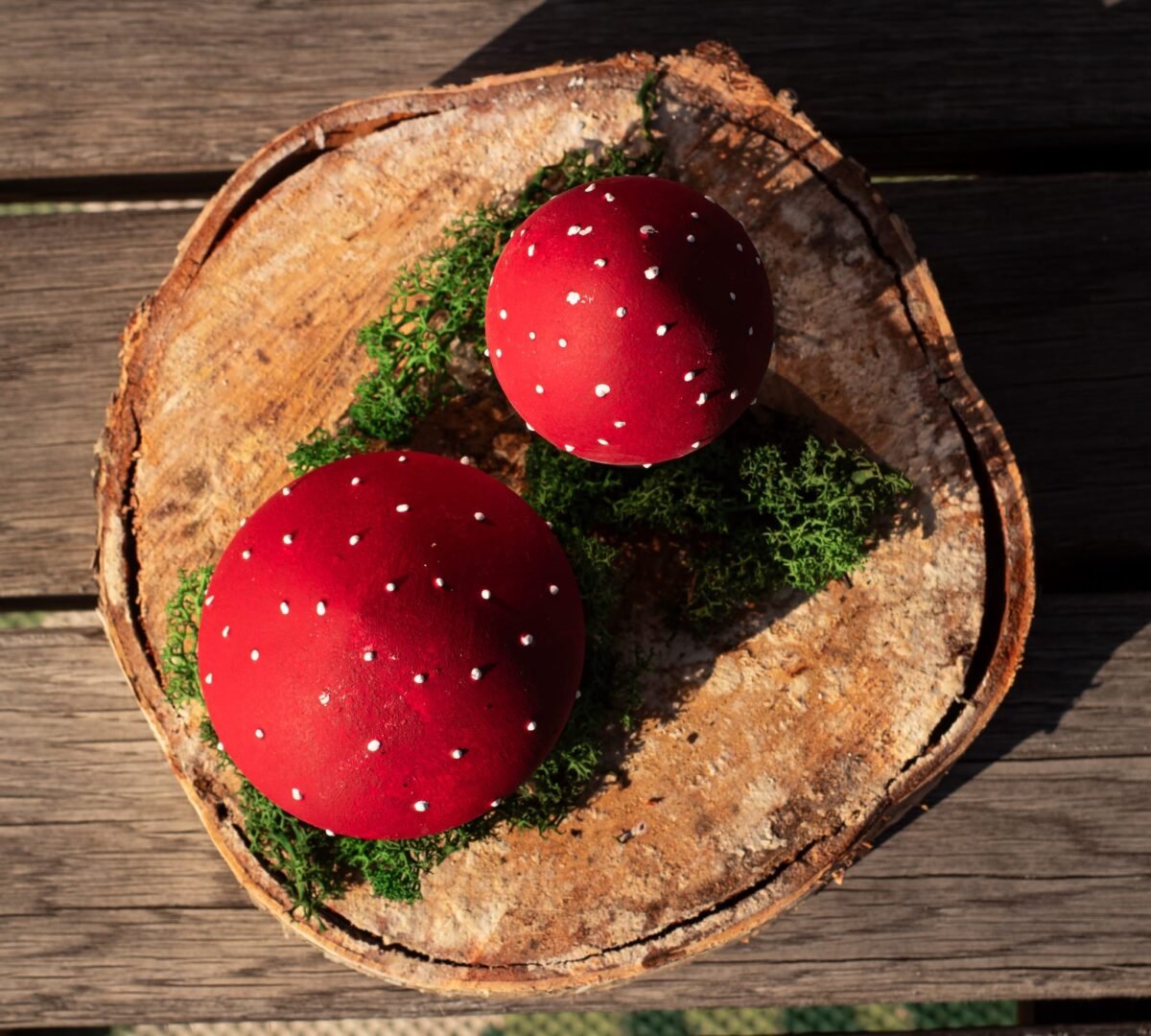 Fly agaric mushrooms