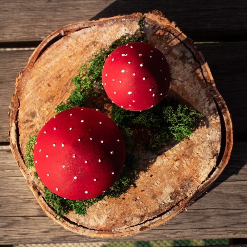 Fly agaric mushrooms