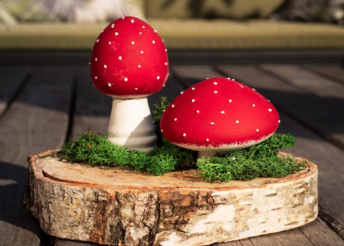 Fly agaric mushrooms - Image 5