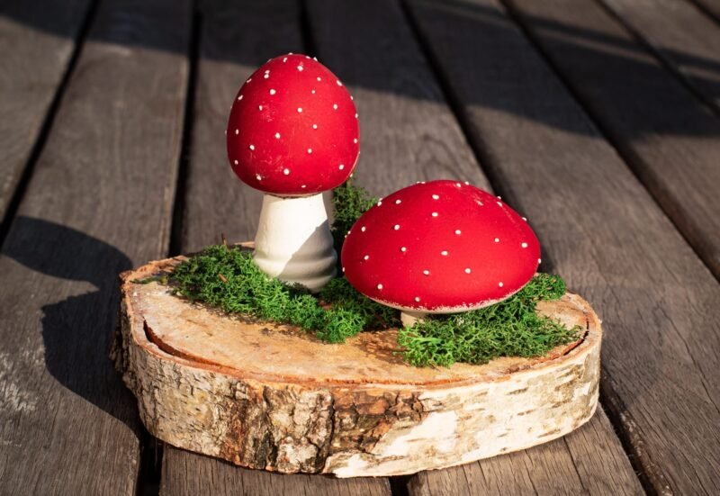 Fly agaric mushrooms - Image 4