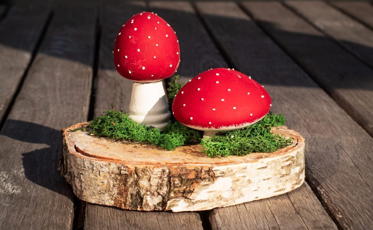 Fly agaric mushrooms - Image 3