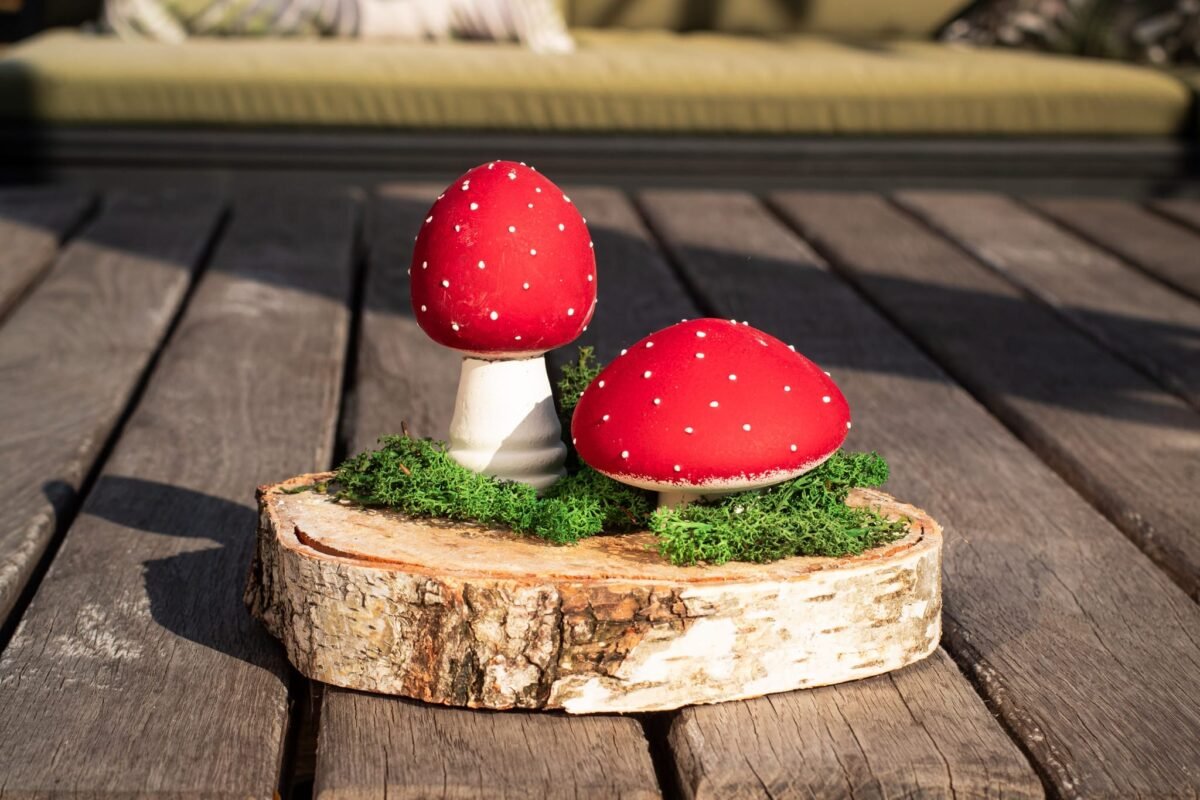 Fly agaric mushrooms - Image 2