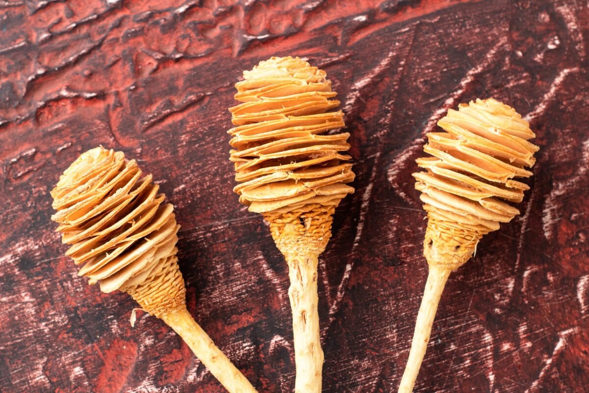 Dried African helical flowers - Image 2