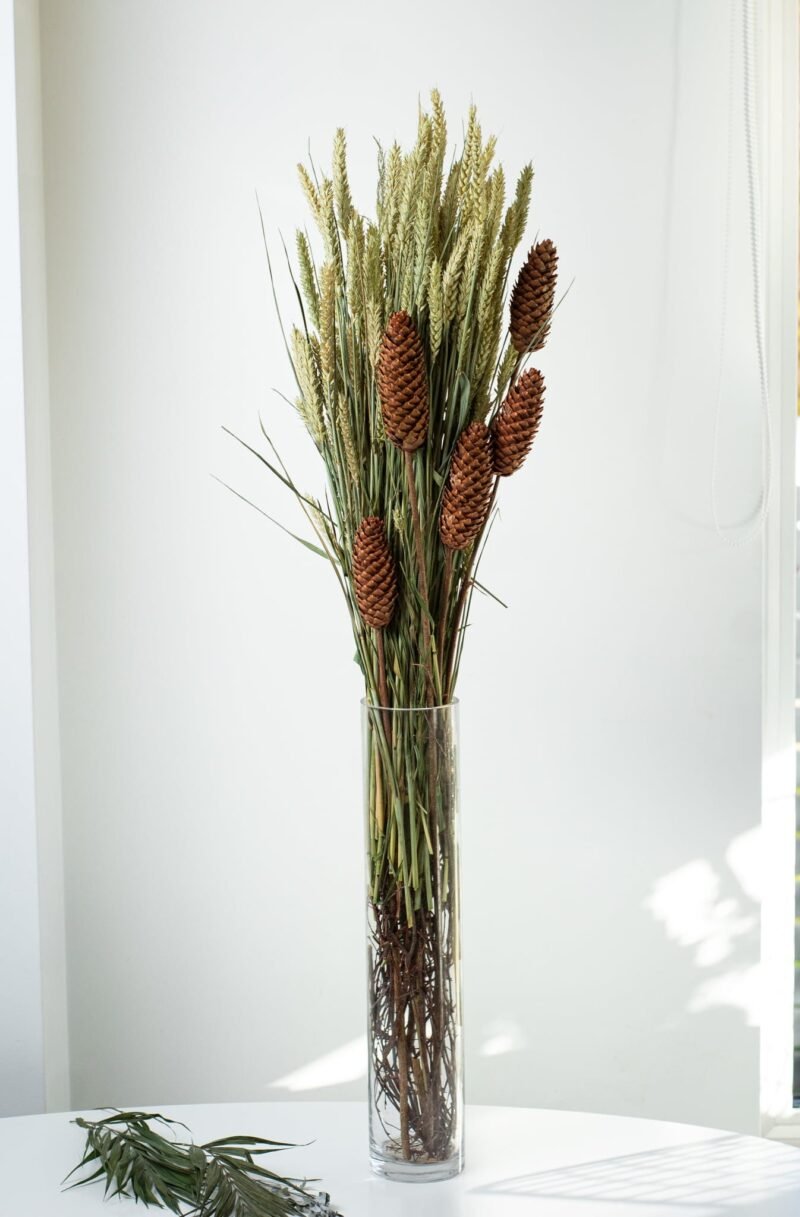 Spruce pinecone stems - Image 5