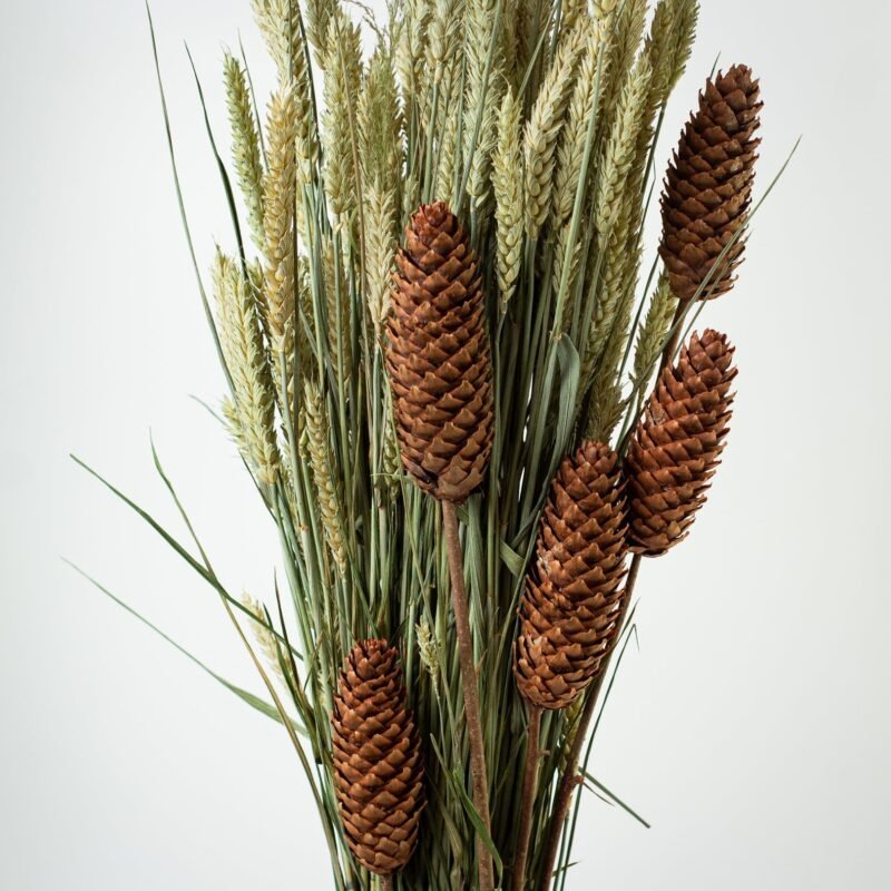 Spruce pinecone stems