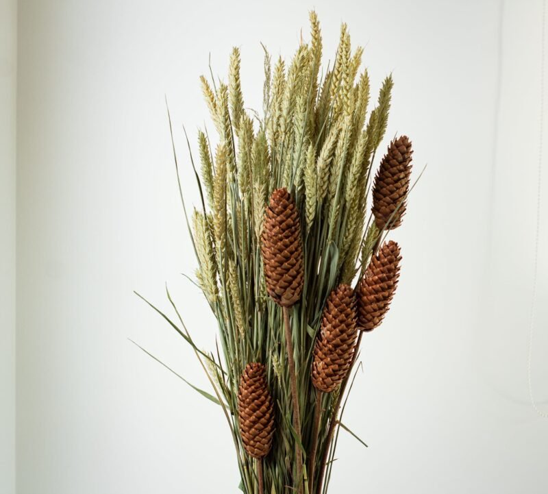 Spruce pinecone stems - Image 3