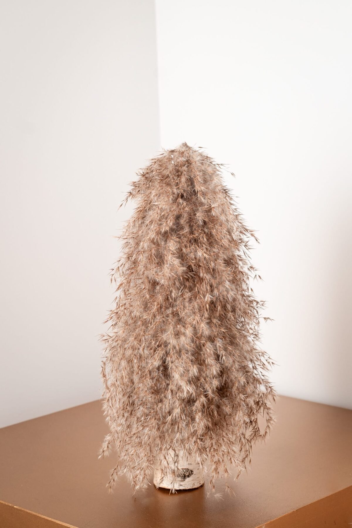 Pampas willow tree - Image 8