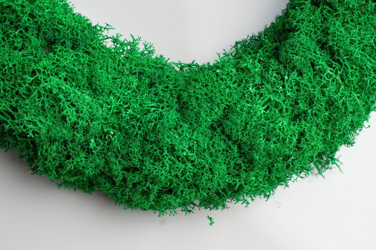 Natural moss wreath - Image 6
