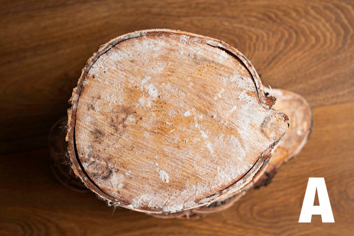 Birch wood slices - Image 3