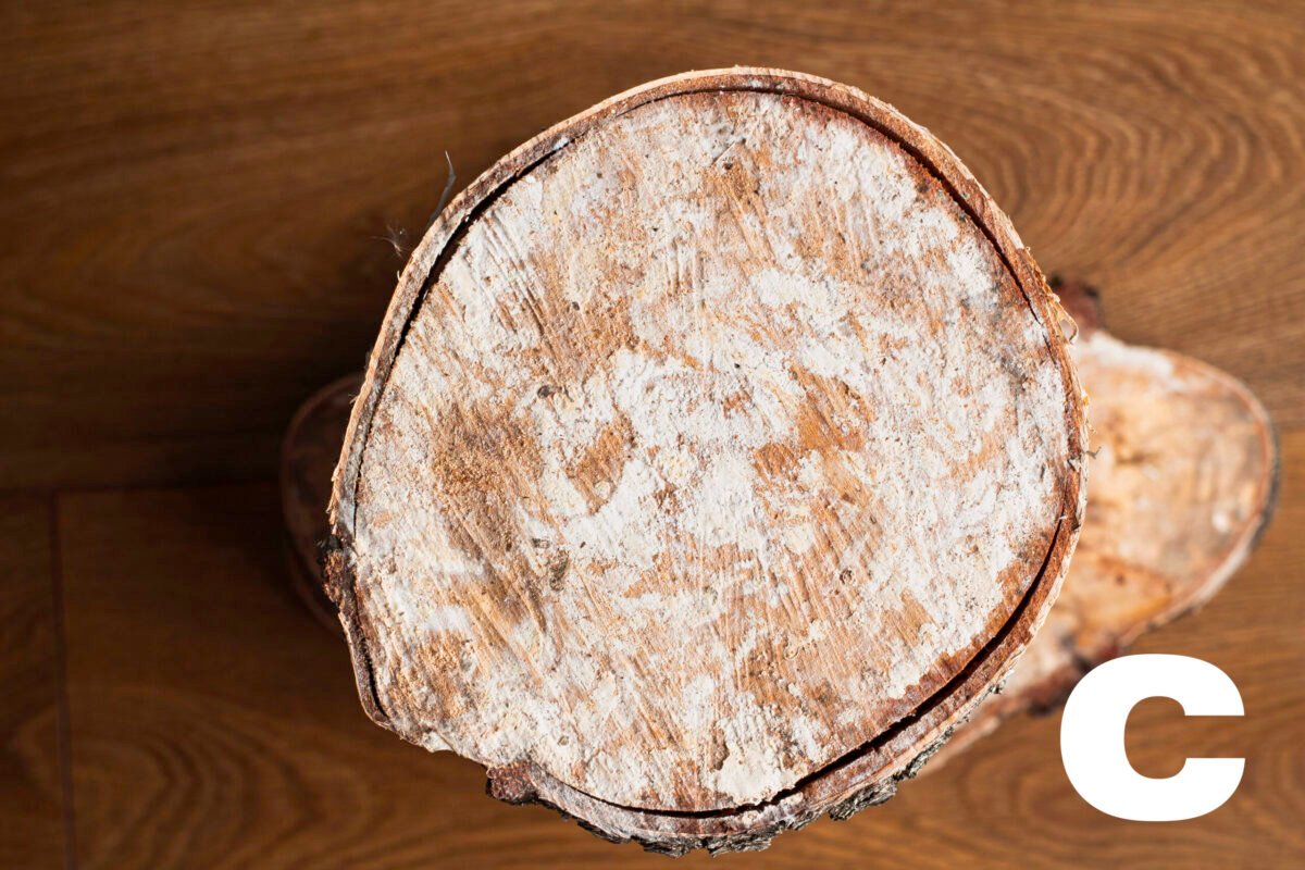 Birch wood slices - Image 5