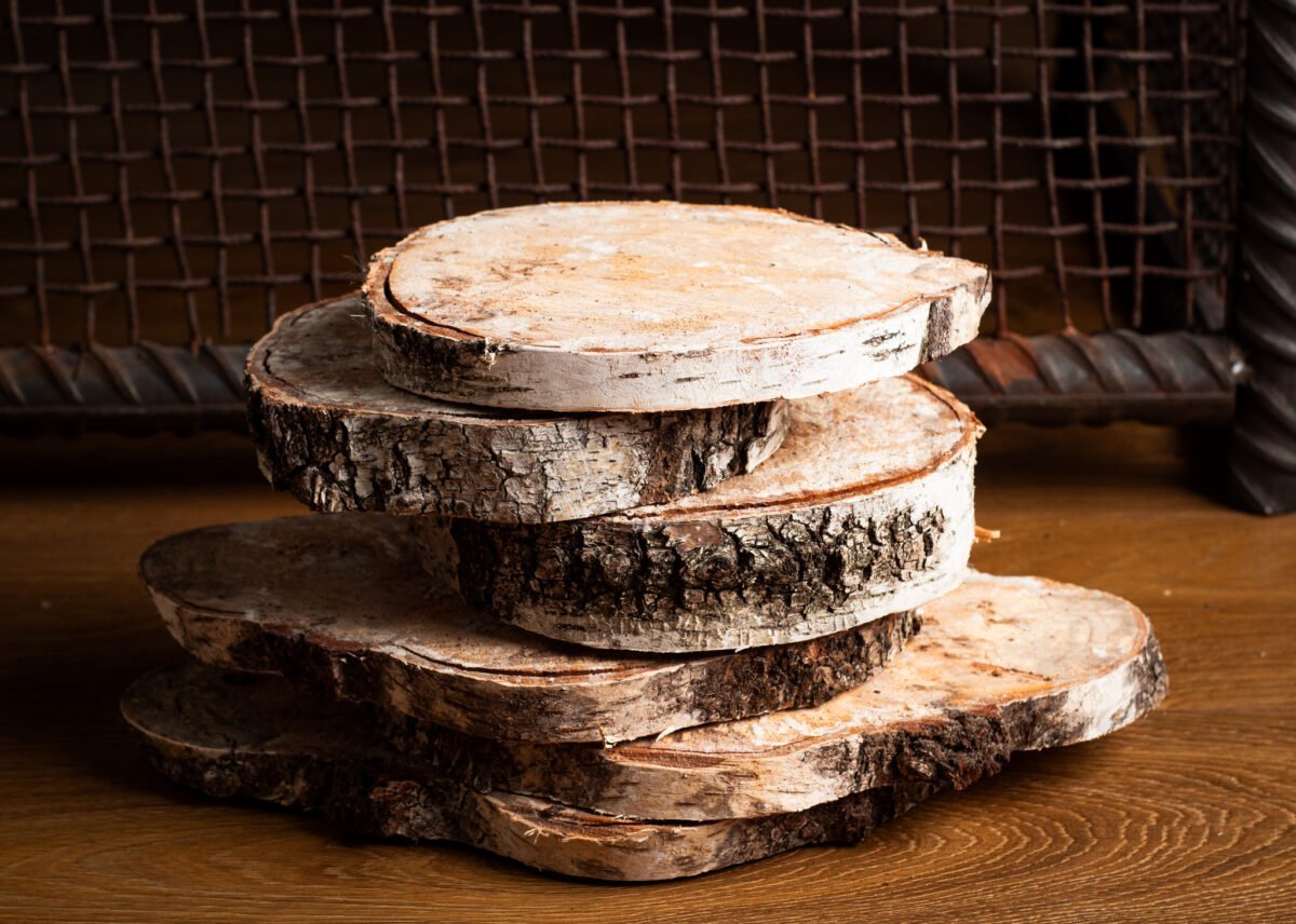 Birch wood slices
