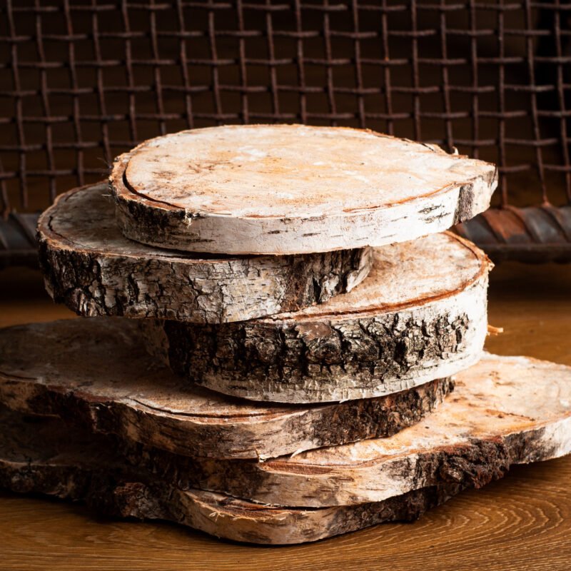 Birch wood slices