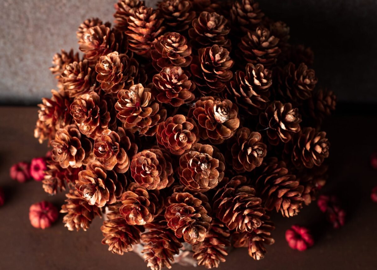 Pinecone & birch Christmas tree - Image 2