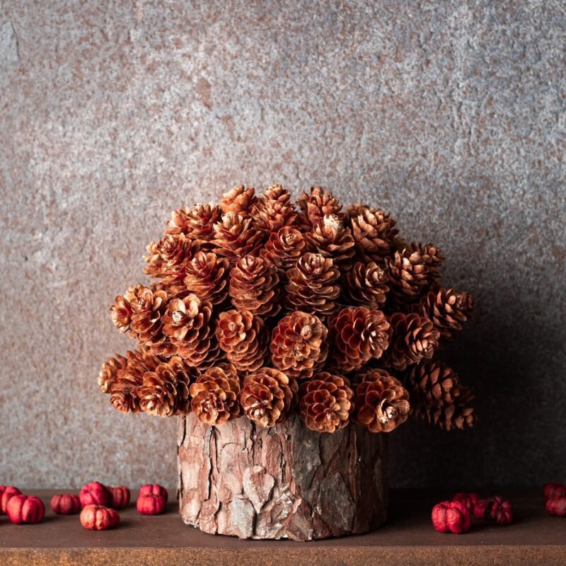 Pinecone & birch Christmas tree