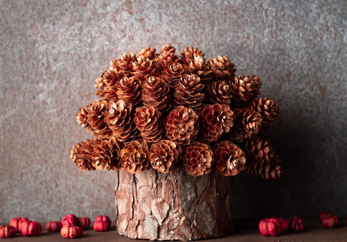 Pinecone & birch Christmas tree - Image 7