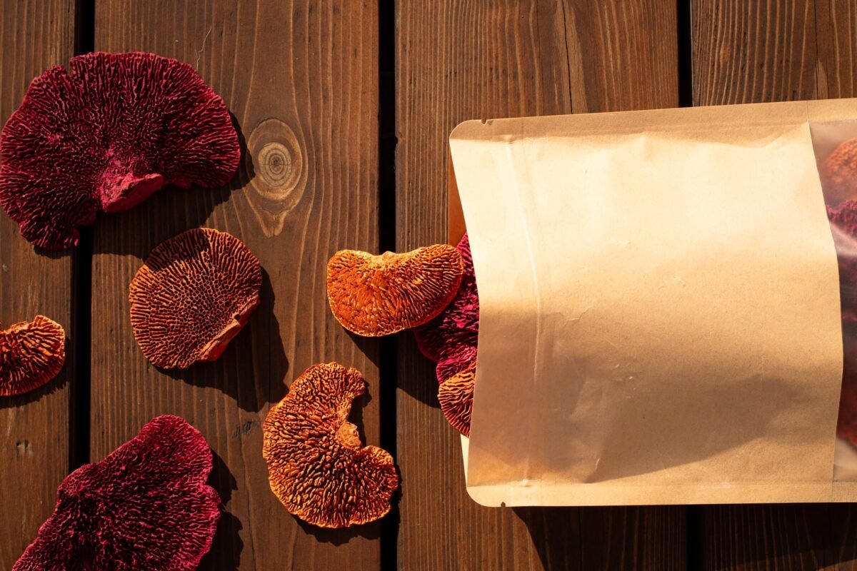Multicolour reishi mushrooms - Image 2
