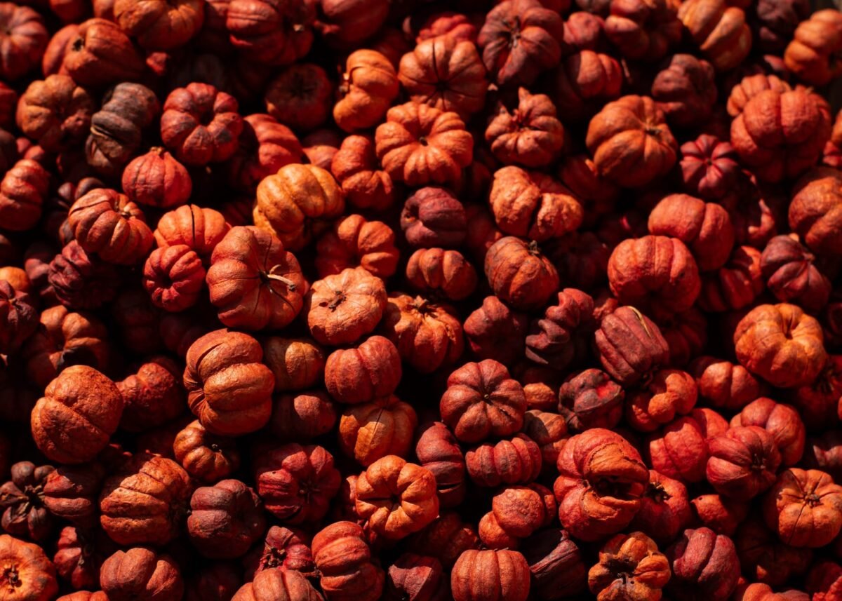 Natural baby pumpkins