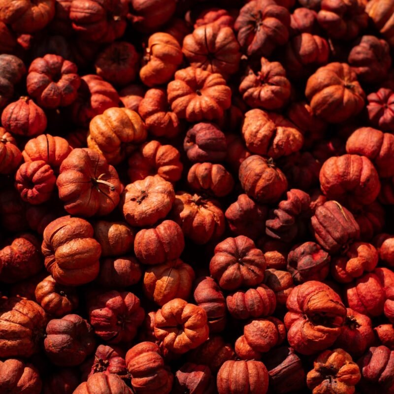 Natural baby pumpkins
