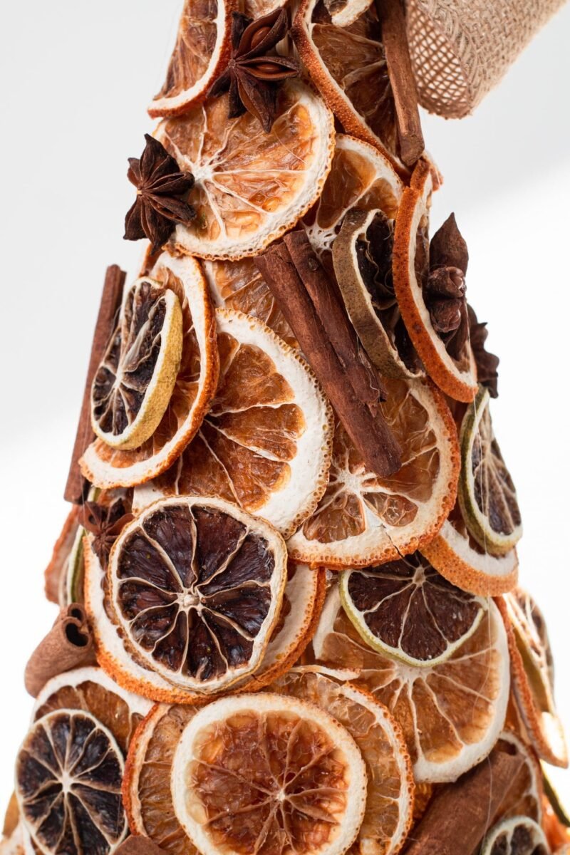 Dried orange tree - Image 6