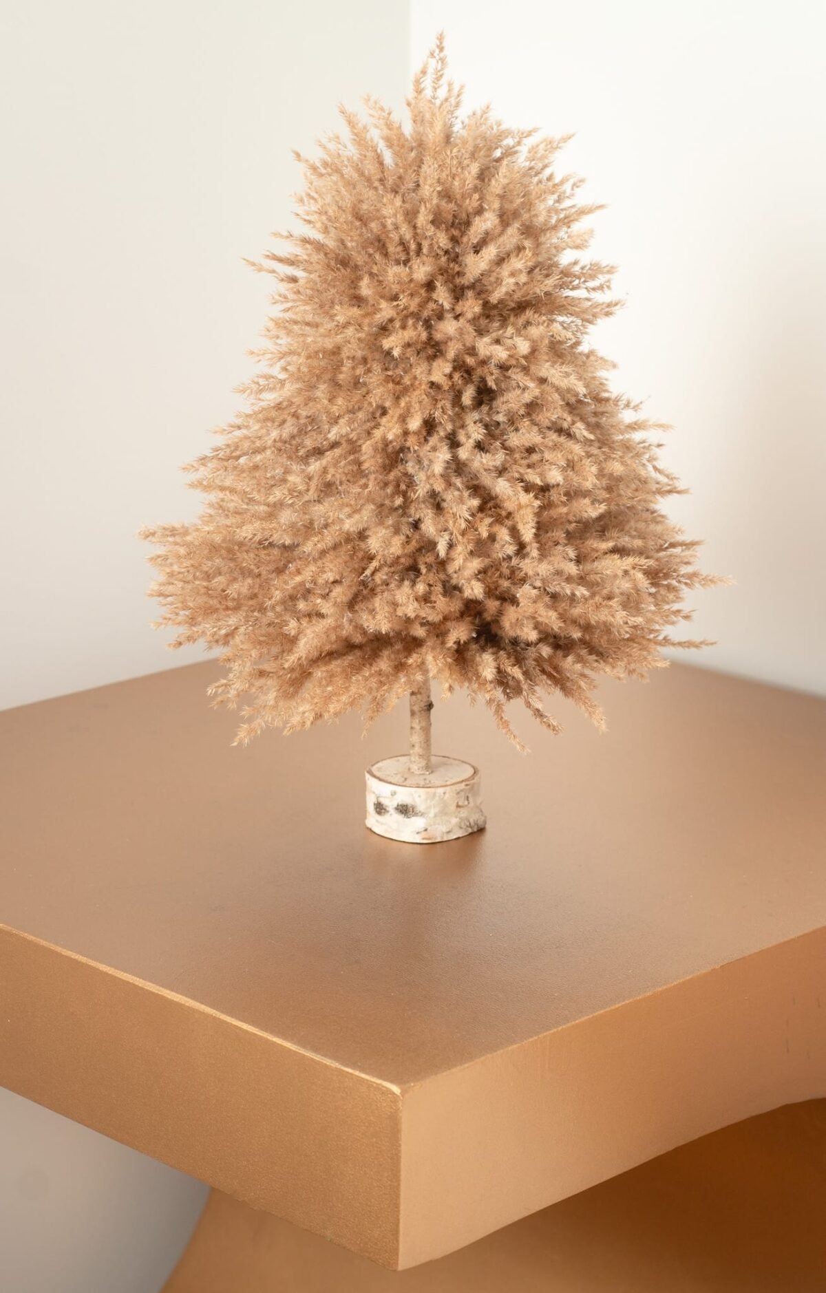 Fluffy pampas tree - Image 3