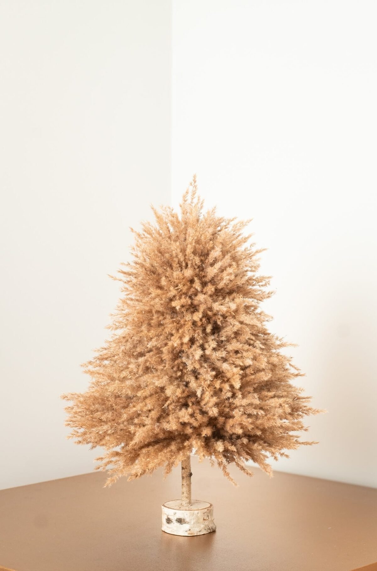 Fluffy pampas tree - Image 4