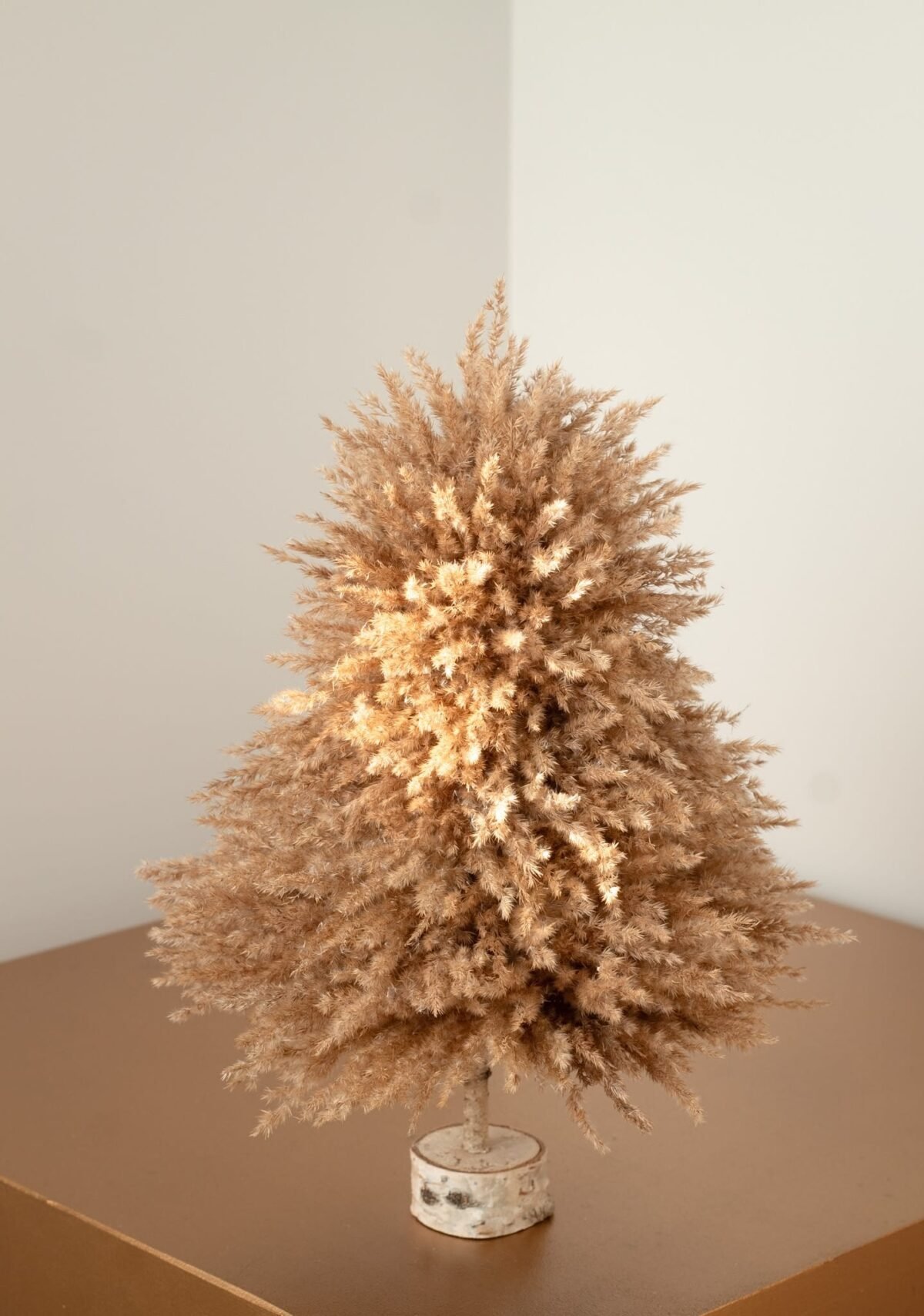 Fluffy pampas tree - Image 9