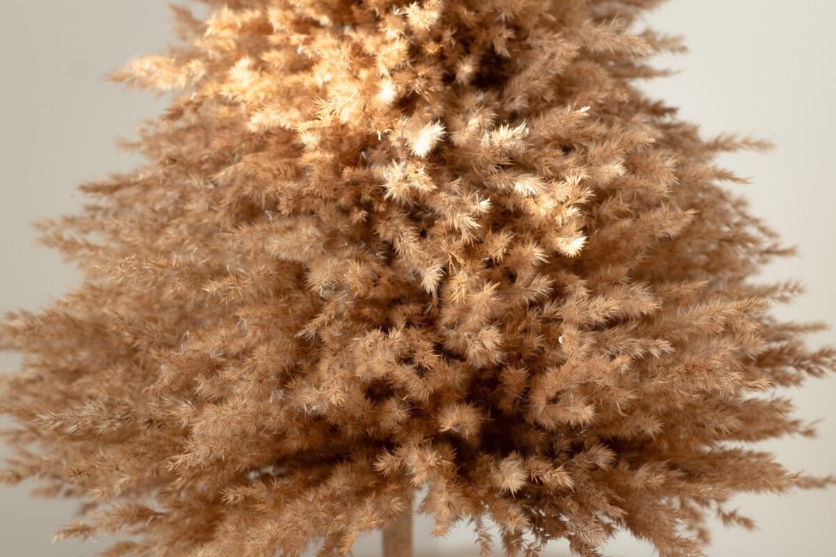 Fluffy pampas tree - Image 12