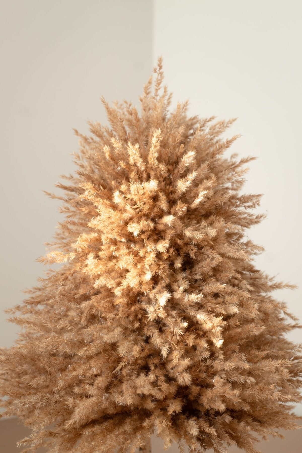 Fluffy pampas tree - Image 8