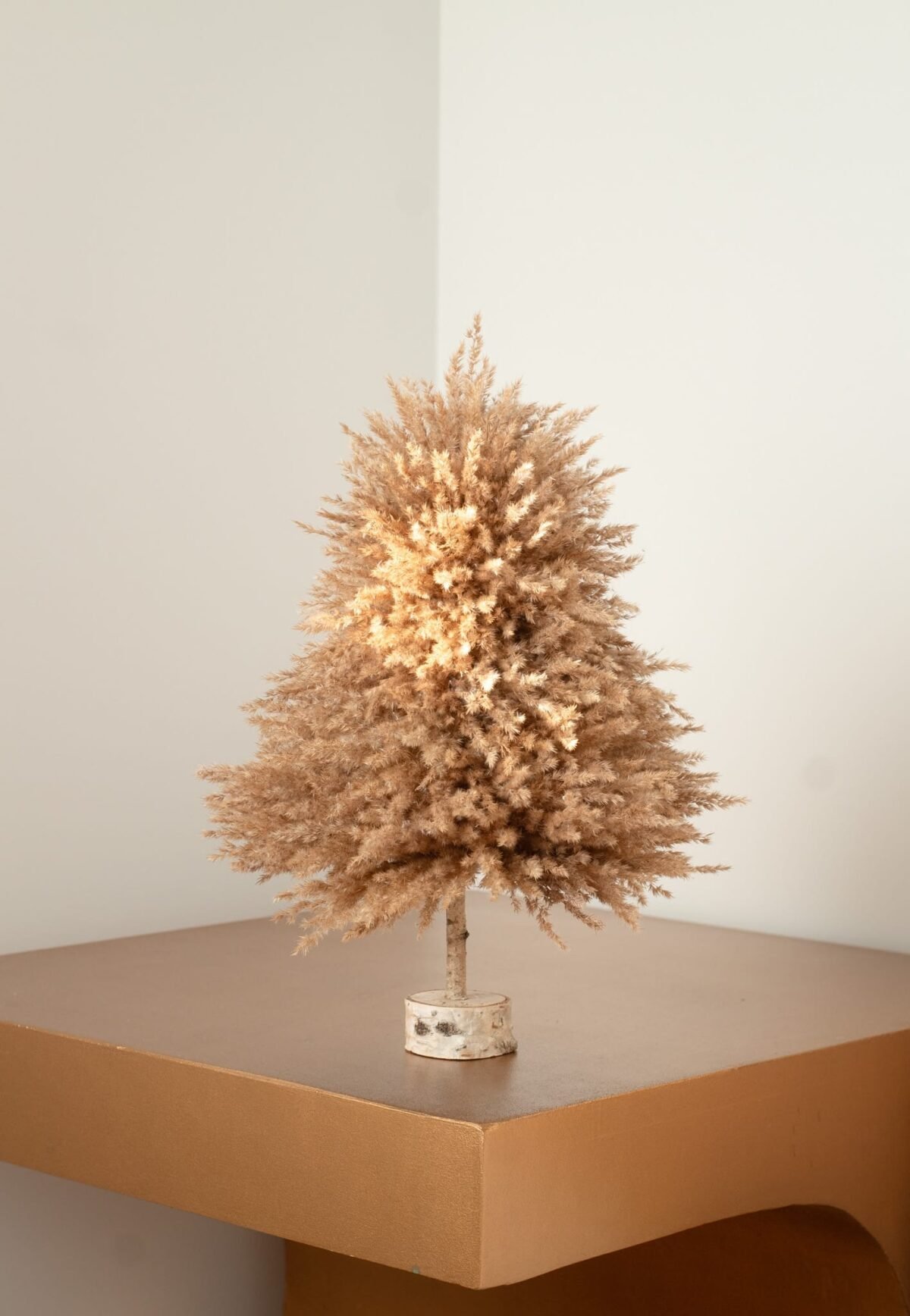 Fluffy pampas tree